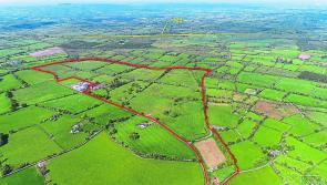 Close to 200 acres in Co Longford set for auction