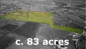 Ballymahon farm sold pre-auction 
