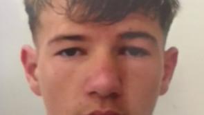 Gardaí appeal for information in search for missing Midlands teen