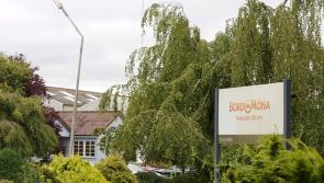Bord na Móna announce €1.6 billion investment plan