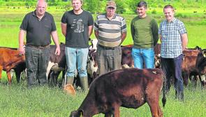 Teagasc Roscommon/Longford -  ‘You just get the best advice going’