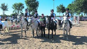 Longford Leader gallery: Pony Club look forward to national festival  