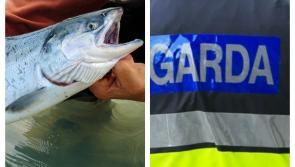 BEWARE: Rogue website selling fishing licenses for Longford
