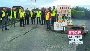 Beef Plan protests rumble on