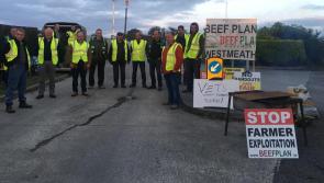Longford Leader Editorial: Irish beef farmers deserve better