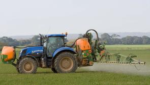 Longford Leader Farming: Teagasc offer advice on the best chemical control methods for rushes
