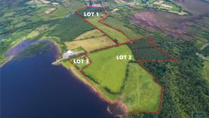 Sherry FitzGerald McGill selling 78 acres of prime agricultural lands in Longford auction