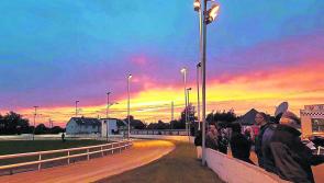 Light at the end of the tunnel for Longford Greyhound Stadium