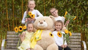 Longford public help raise over €5,000 on Hospice Sunflower days