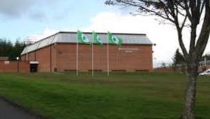 Moyne CS promotes sustainability through visual arts