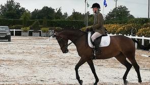 GALLERY | Mosstown Riding Club represents Longford with distinction at National AIRC Dressage Championships