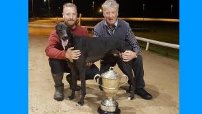 Zaconey Hulk sprints to €5,000 derby glory at Longford Greyhound Stadium 
