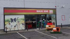 Longford pet store manager set for big screen debut