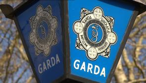 Garda extradition unit arrests Slovakian man living in Cavan under false identities