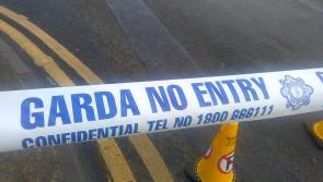 Arrest made after man critically injured in farmland shooting 