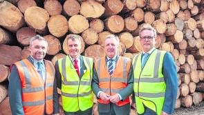 Longford timber firm Glennon Brothers invest €20m in flagship site  
