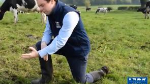 WATCH | Hilarious blooper reel from Longford's Kiernan Milling