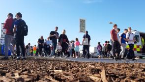 BREAKING | Record breaking #Ploughing19 attracts 'highest ever attendance' of 297,000 