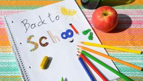 Longford councillor in call for extension of back to school allowance scheme 
