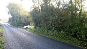 Road between Gowna and Ballinagh reopens but search continues as part of  investigation into brutal attack on Kevin Lunney