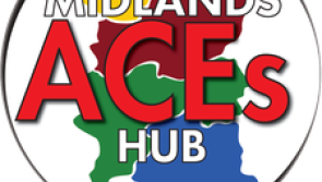 Midlands ACE’s Hub helping to host screening of award winning documentary