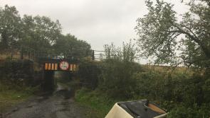 GALLERY| Fly-tipping continues in Longford