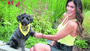 Longford support urged for ‘Give Paw’ campaign 