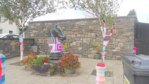 Yarn-bombing for positivity in Granard