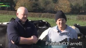 WATCH| Longford farmers talk up the benefits of a farm partnership