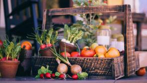 Longford's Laura Thompson on eating well to age well