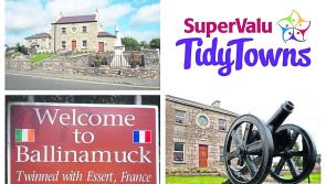 Ballinamuck receive tidy towns results