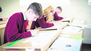 Ballymahon VS to host open day this Saturday