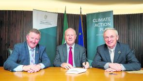 Councils to spearhead climate action reform
