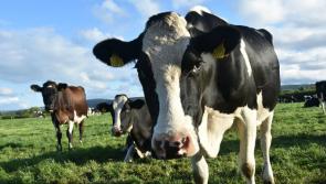 Thinking of becoming an Organic Farmer?