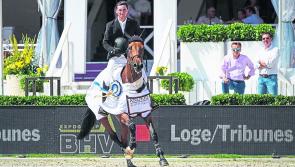 My Longford Life: Kilcurry show-jumper Jordan Kilkenny