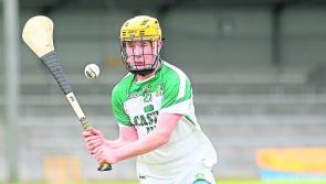 Longford hurling champions Clonguish Gaels defeated in Leinster semi-final

