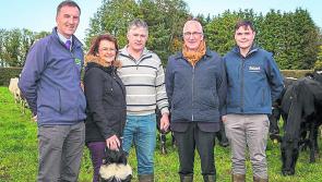 Sustainability to the fore of National Dairy conference 