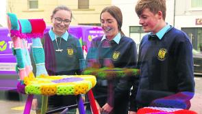 PICTURES | Yarn bombing takes centre stage in Granard