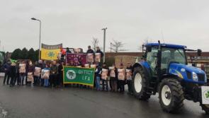IFA take beef protests to Aldi distribution centre