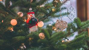 Recycle your Christmas tree for free in Longford