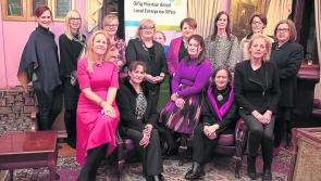 PICTURES | Women in Business tri-county networking  event takes place at  Viewmount House, Longford