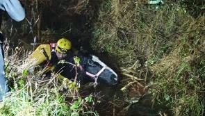 Longford emergency services  rescue horse from deep bog drain