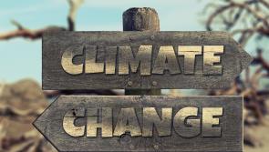 Edgeworthstown Tidy Towns initiating a number of community projects to tackle climate change