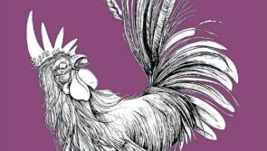 Longford artist celebrating 20 years of Limerick Printmakers in Luan Gallery