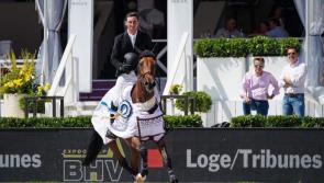 Longford showjumper all set for the US
