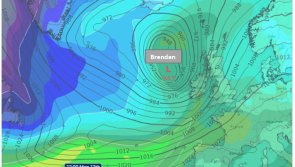 Danger of structural damage and uprooted trees when Storm Brendan hits Ireland