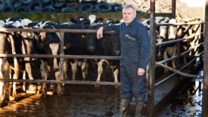 ICMSA predict series of milk price rises in coming year