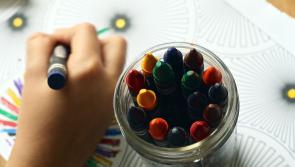 Calls  for the employment of therapists to cover Longford  schools