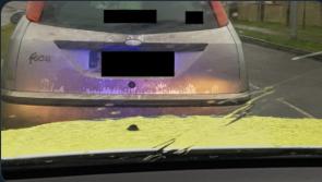 Court proceedings for learner driver stopped by Longford garda&iacute; 