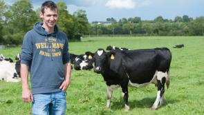 Lakeland Dairies welcomes new entrants to dairying